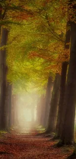 Misty autumn forest path with vibrant fall leaves and tall trees.