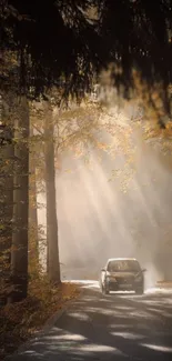 A car drives through an autumn forest with sunrays filtering through trees.