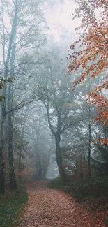 Autumn forest path with orange leaves and misty trees.