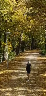 A peaceful autumn forest path covered in golden leaves with a lone figure jogging.