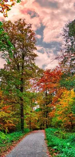 A serene autumn forest path with vibrant foliage.