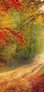 Serene autumn forest path with vibrant foliage and a sunny trail.