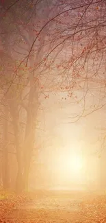 Misty autumn forest path with sunlight and fallen leaves.