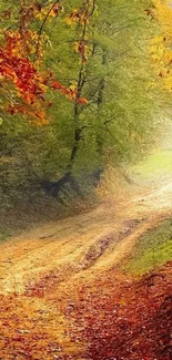 Serene autumn forest pathway with vibrant fall colors.