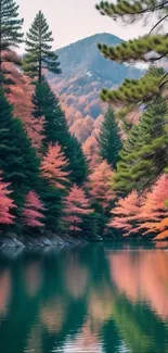 Autumn forest with vibrant foliage reflecting on tranquil water.