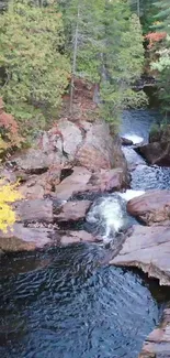 Tranquil autumn forest stream with colorful foliage.