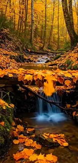 Tranquil autumn forest stream with vibrant leaves.