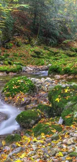 Serene autumn forest stream with vibrant leaves and mossy rocks.