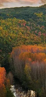 Autumn forest landscape with vibrant colors.