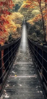 Autumn forest bridge with orange leaves.