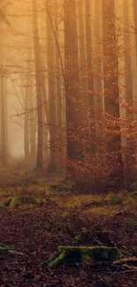 Serene autumn forest with misty amber hues and tall trees, perfect for nature lovers.