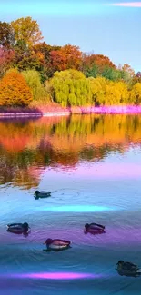 Serene lake with ducks and autumn foliage reflecting in the water.