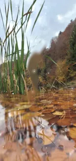 Serene autumn lake with reflections and vibrant foliage.