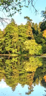 Serene autumn lake with vibrant foliage and reflections.