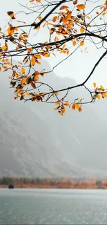 Serene lake with autumn leaves and misty mountains.