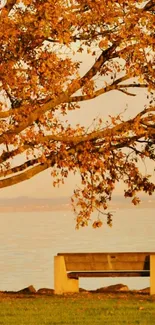 Autumn tree by lake with bench scene.