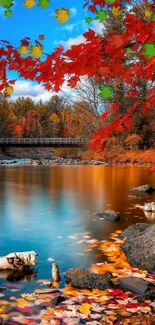 Vibrant autumn lake with red leaves and clear sky.