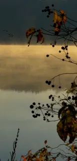 Misty autumn lake with serene foliage and reflections.