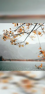 Autumn leaves overlooking a serene mountain lake scene.