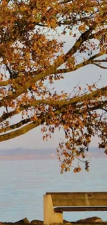 Serene autumn scene with a bench by the lake.