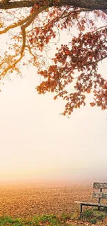 Tranquil autumn scene with a tree bench and orange leaves.