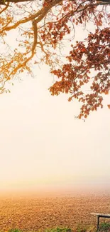 Serene autumn landscape with a bench and colorful leaves.