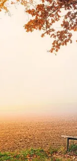 Serene autumn landscape with empty bench and fall leaves.