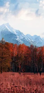 Autumn forest with snowy mountain backdrop.