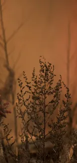 Serene wallpaper of delicate plants in warm autumn tones.