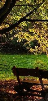 Sunlit autumn park with bench and golden leaves.