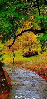 Serene path through a vibrant autumn forest.