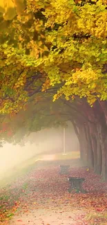 Serene autumn path with golden leaves creating a peaceful, scenic view.