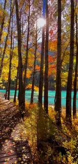 Autumn pathway with vibrant leaves and a serene lake view.