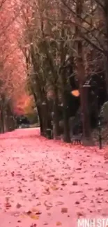 Pink autumn path lined with trees and fallen leaves.