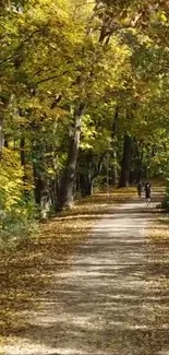 Golden autumn forest path with fallen leaves and trees.