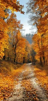 Path through an autumn forest with orange leaves.