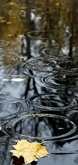 Serene autumn rain wallpaper with ripples and a maple leaf on water.