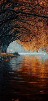 Tranquil autumn scene with trees and reflective water.