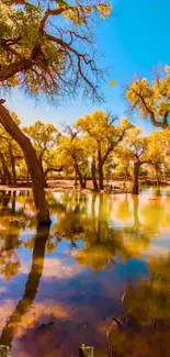 Serene autumn landscape with golden trees reflecting in calm water.