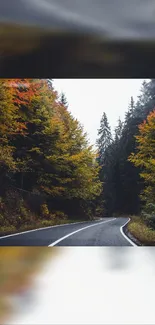 Serene winding road through vibrant autumn forest.