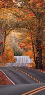 Winding road through vibrant autumn forest with colorful foliage.