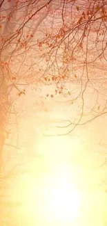 Golden autumn sunrise with tree branches in a serene landscape.