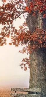 Peaceful autumn scene with tree and bench.