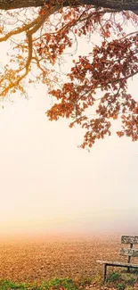Serene autumn tree with bench in misty landscape.