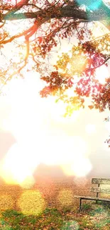 Autumn tree with bench in serene fog.