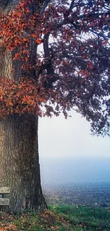 Majestic tree with orange leaves beside a wooden bench in misty autumn scene.