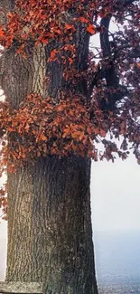 Autumn tree with orange leaves and a bench in a misty setting.