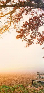 Misty autumn landscape with tree and bench.