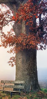 Autumn tree with brown leaves and a wooden bench in mist.