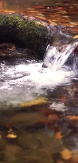 Serene waterfall with autumn leaves in a forest setting.